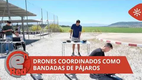The Andalusian TV has made a short (5 min) cover of our ERC Aerosense project :P