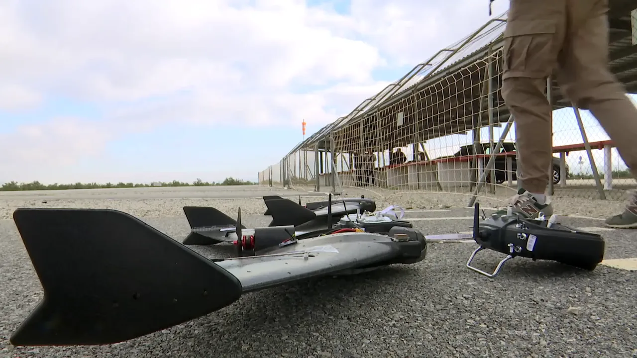 Sonic - Delta Wing